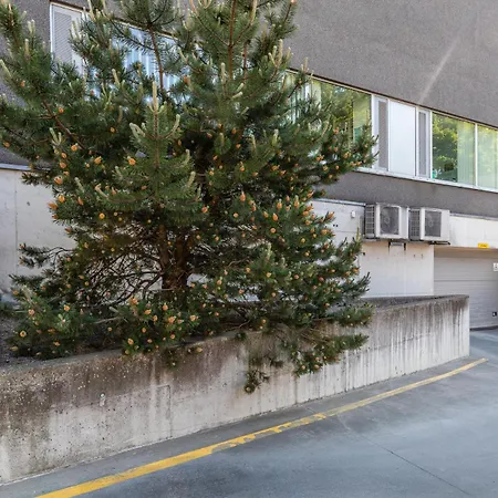 Your Dream Flat In The City Centre + Free Parking 塔林 外观 照片