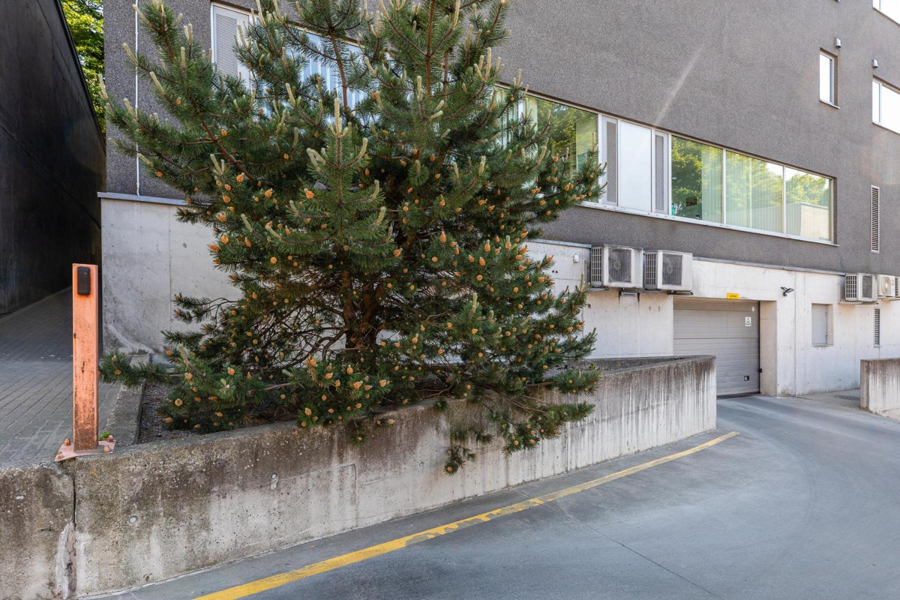 Huoneisto Your Dream Flat In The Centre + Free Parking Tallinna