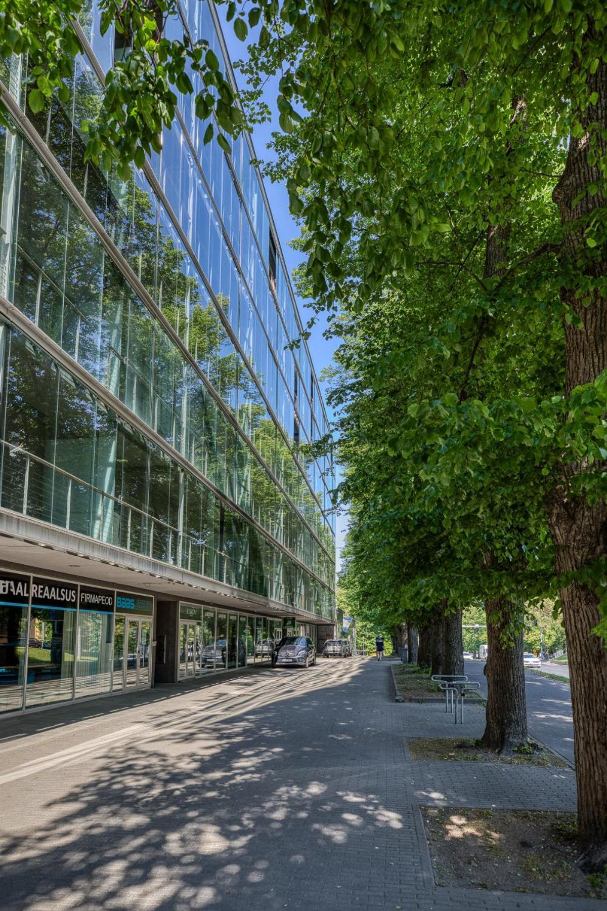 Your Dream Flat In The Centre + Free Parking Tallinna
